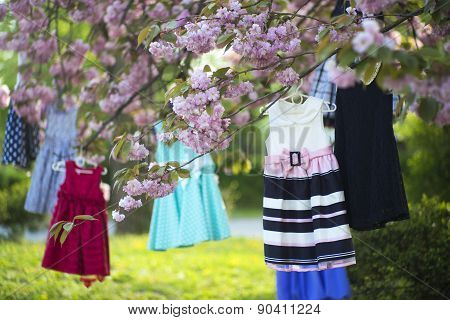 Baby Dresses On The Tree