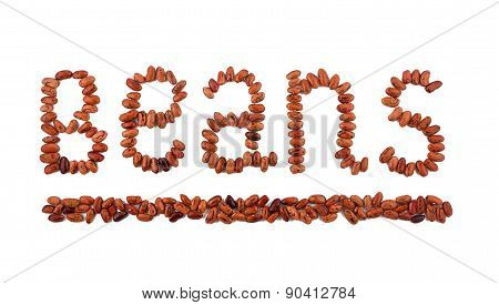 Folded Into The Floor Seeds