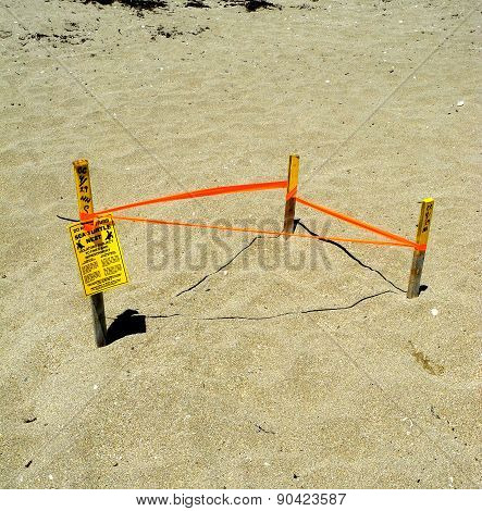 A Tagged and Protected Sea Turtle nest