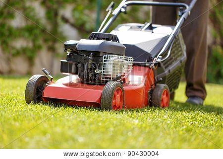 Gardener Mowing The Lawn