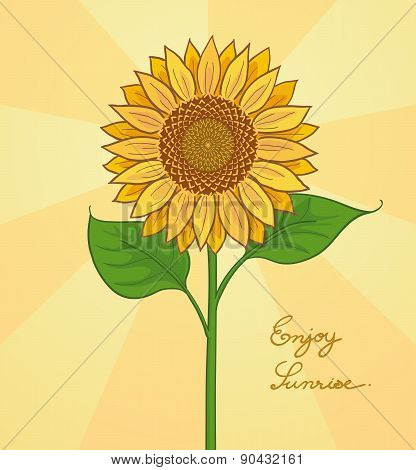 Hand Drawn Sunflower