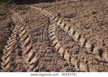 Tracks Of Tractor