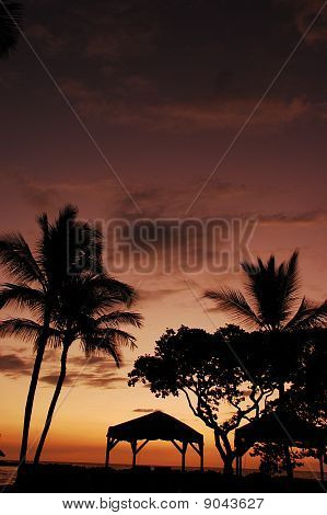 naplemente palms