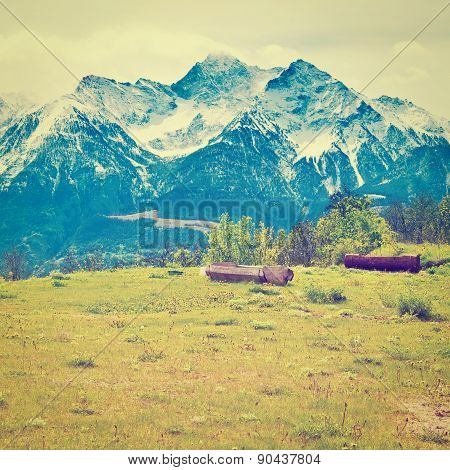 Alps