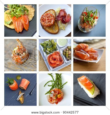 Salmon