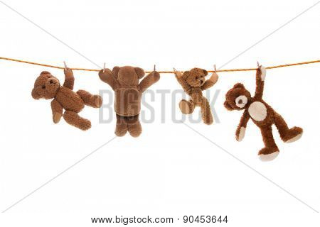 Hanging group of teddy bears on a clothing line with pegs.