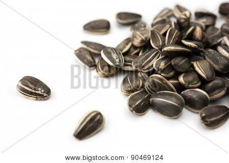 sunflower (Helianthus annuus) seeds, isolated on white.