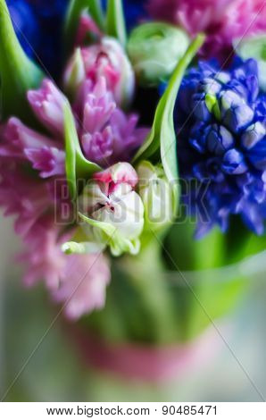 Spring flower tulip in bouquet macro soft