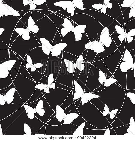 Butterfly9