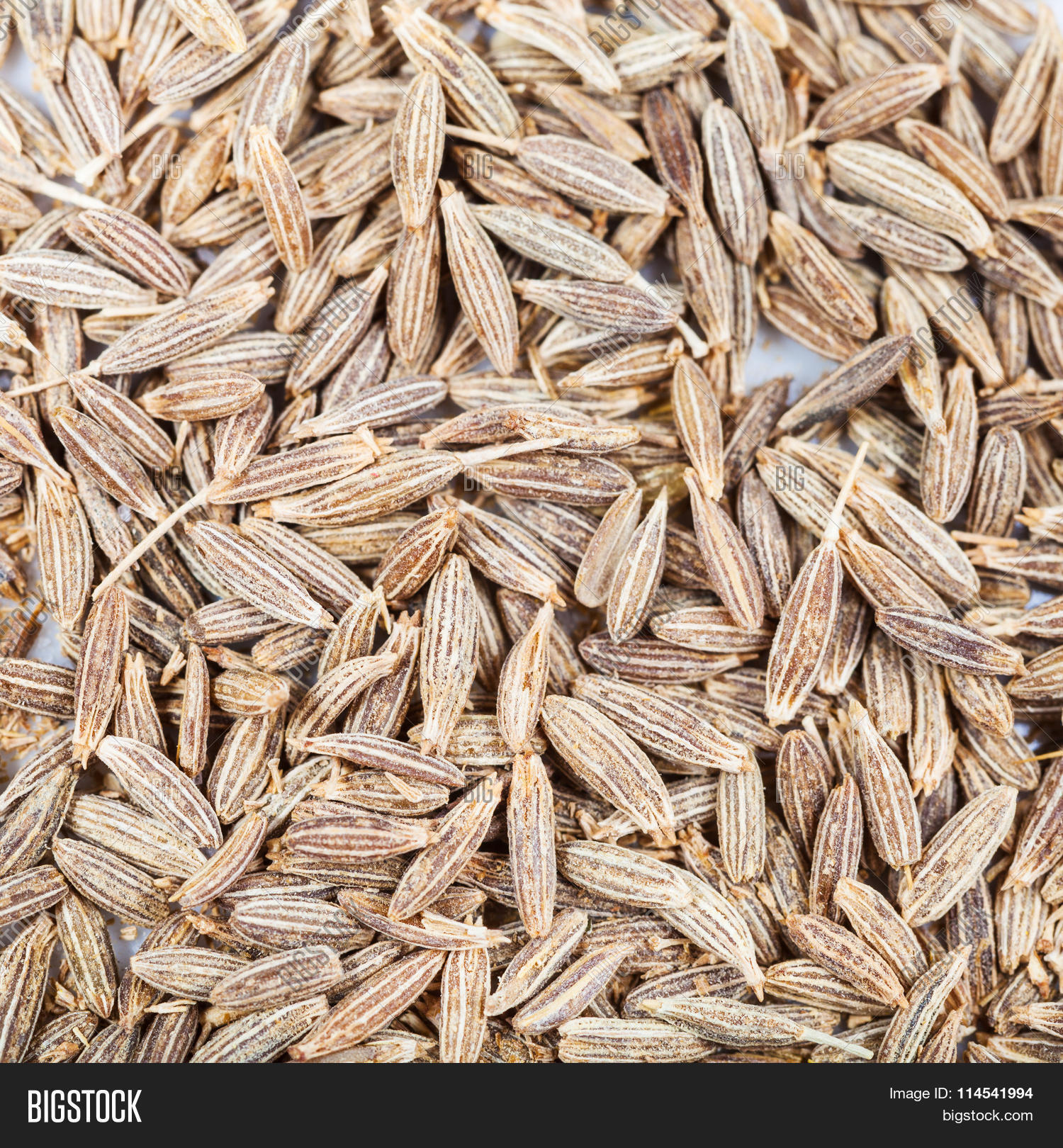 Dried Cumin (cummin) Image & Photo (Free Trial) Bigstock