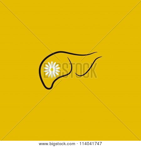 Color icon representing an outline of the human liver. Liver disease