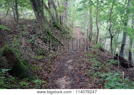 Footpath