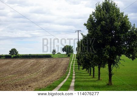 Plowed Field