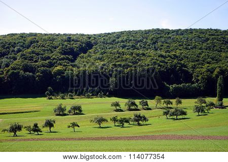 Green Valley