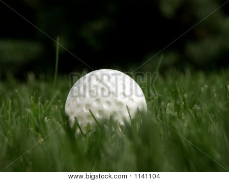 Golfbold