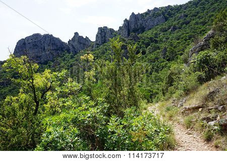 Footpath