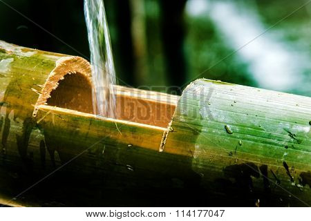 Bamboo And Water Zen Concept
