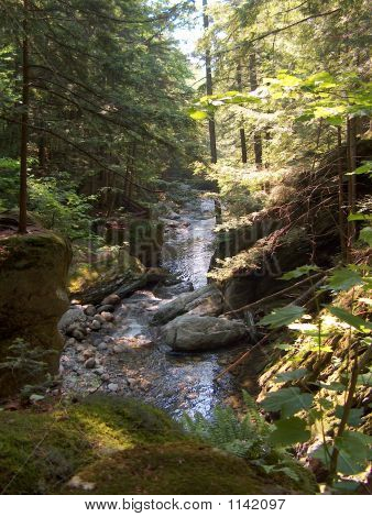 Copie de Granville Vt Green Mtn Nat forêt