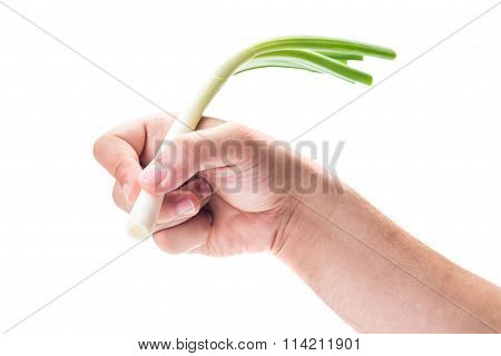 Spring Onion Used As A Pen.