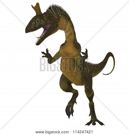 Cryolophosaurus Dinosaur On White
