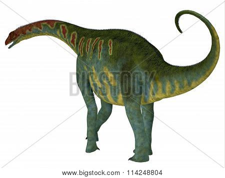 Jobaria Dinosaur Tail