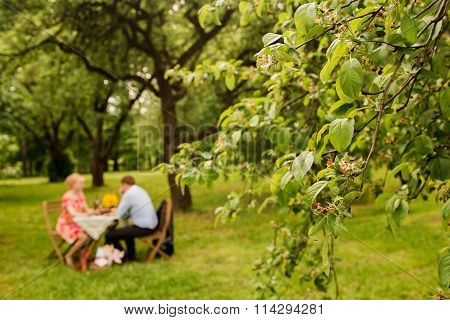 Cute couple drinking tea or coffee. Picnic. Blurred for presentation effect, abstract background