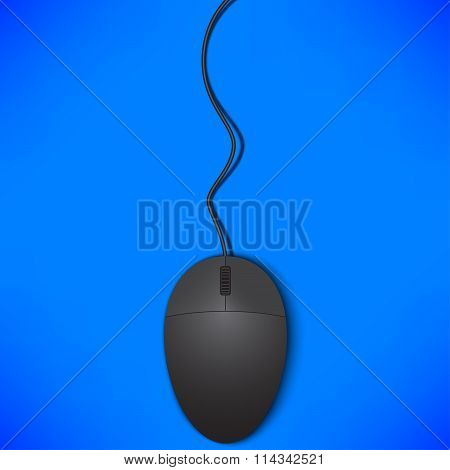 Mouse Isolated On Blue Background