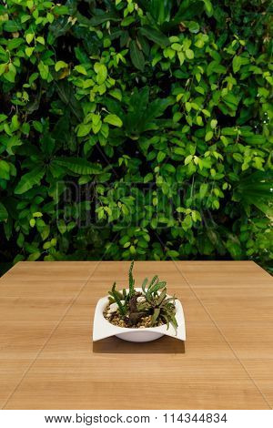 Table In The Garden