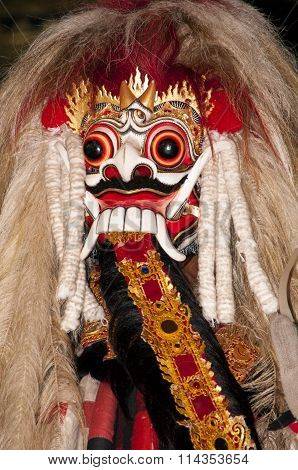 Traditional colorful dragon costume