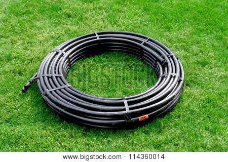 Coil of black poly pipe on green grass yard, springkler system part