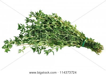 Bundle of fresh thyme isolated on white background