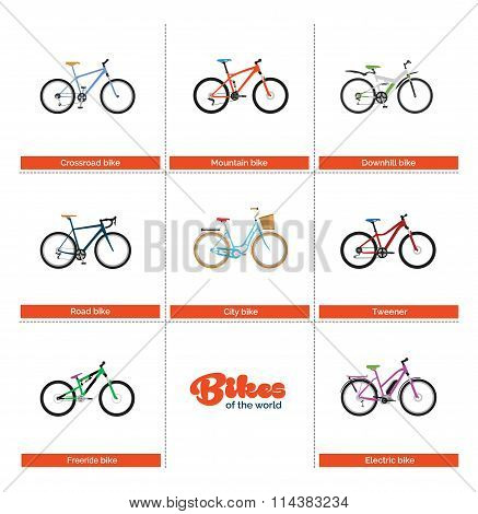 Bikes of the World