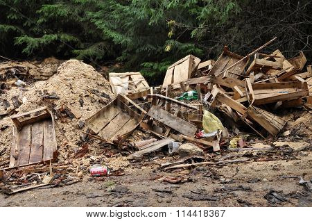 Garbage In The Forest