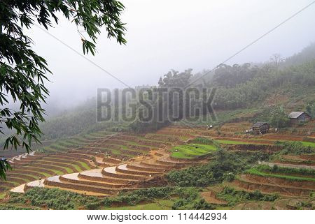 view of village CatCat with rice terraces