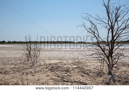 Drought Affected Land