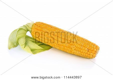 Corn Isolated On A White Background