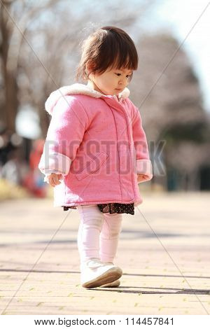 Japanese toddling baby girl (1 year old)