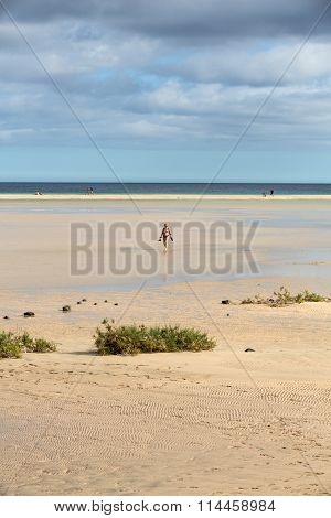 FUERTEVENTURA, SPAIN - SEPTEMBER 14, 2015: Beach Playa de Sotavento Canary Island Fuerteventura Spain
