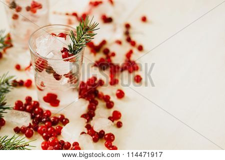 Glass of ice with cranberries, copy space