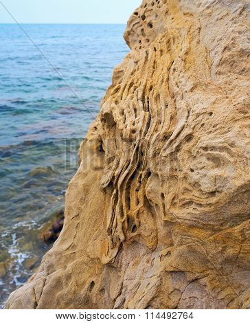Boulder of Sandstone on the shores   Black sea.