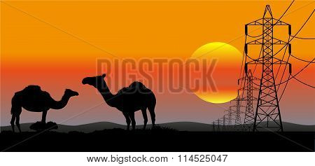 lines of electricity transfers an evening landscape