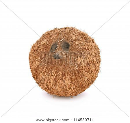 Coconut On White Background