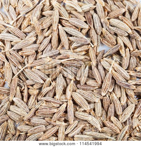 Dried Cumin (cummin) Spice Seeds Close Up