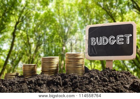 Time is money financial opportunity concept. Golden coins in soil  Chalkboard with Budget word on bl