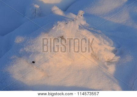 Sunlight Illuminated The Snowy Hill Winter Cold Morning