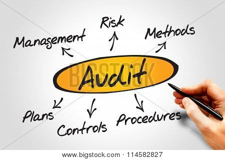 Audit