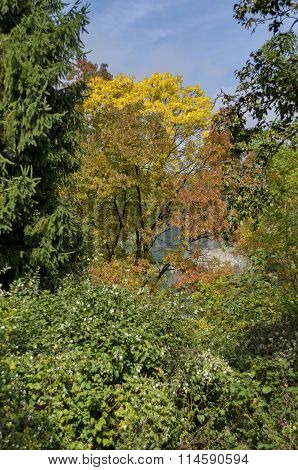 Landscape in Pancharevo park
