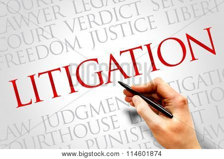 Litigation