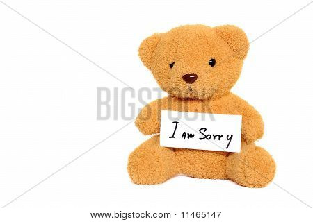 Плюшевый медведь с «Извините» пустой изолированные на белом
