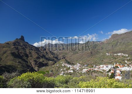 Gran Canaria, Caldera De Tejeda, January